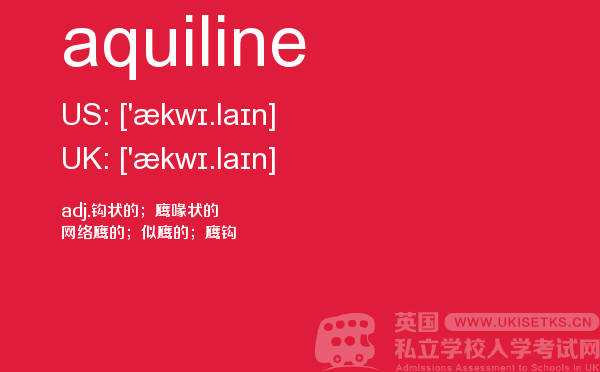 【aquiline】 - UKiset备考词汇