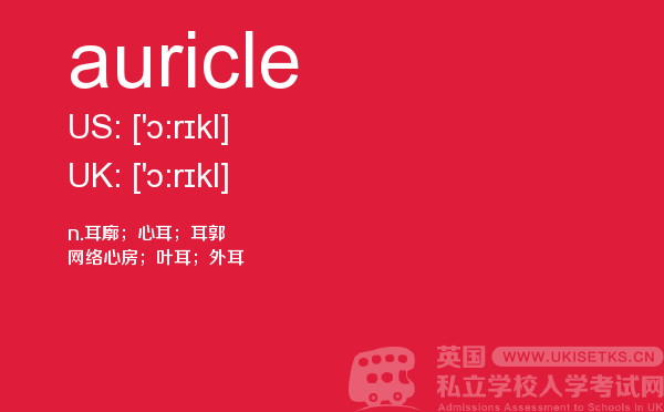 【auricle】 - UKiset备考词汇