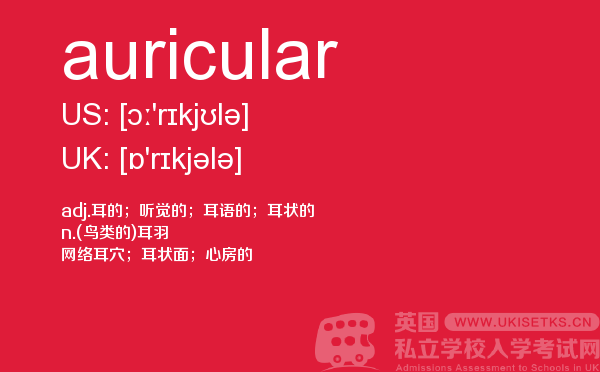 【auricular】 - UKiset备考词汇