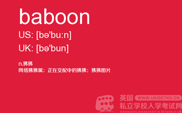 【baboon】 - UKiset备考词汇