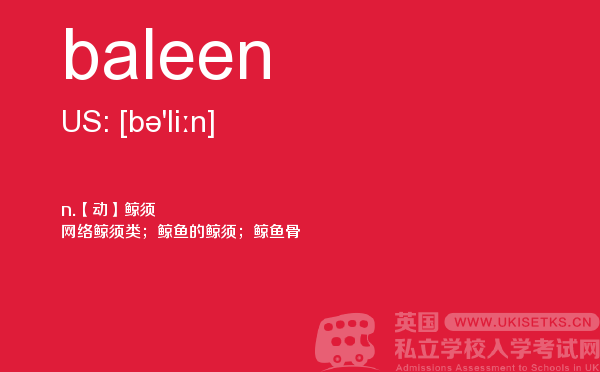 【baleen】 - UKiset备考词汇
