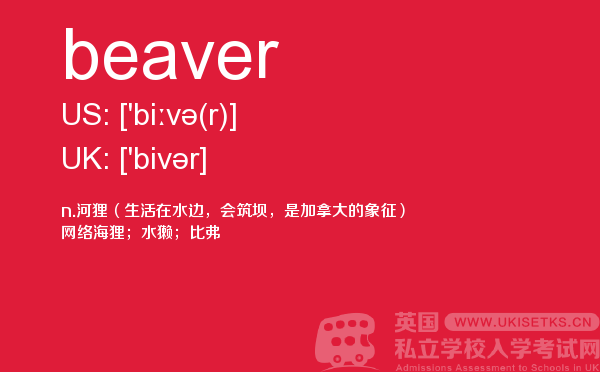 【beaver】 - UKiset备考词汇