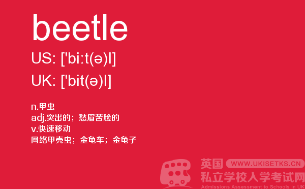 【beetle】 - UKiset备考词汇