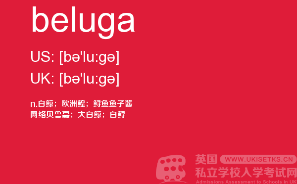 【beluga】 - UKiset备考词汇