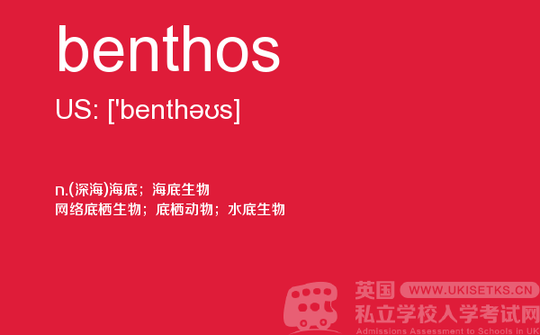【benthos】 - UKiset备考词汇