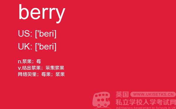 【berry】 - UKiset备考词汇