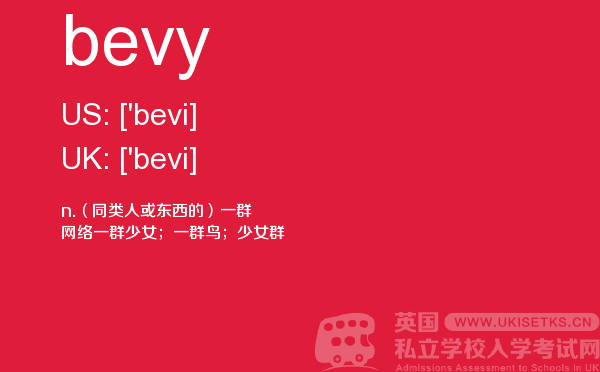 【bevy】 - UKiset备考词汇