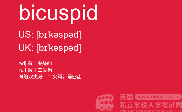 【bicuspid】 - UKiset备考词汇
