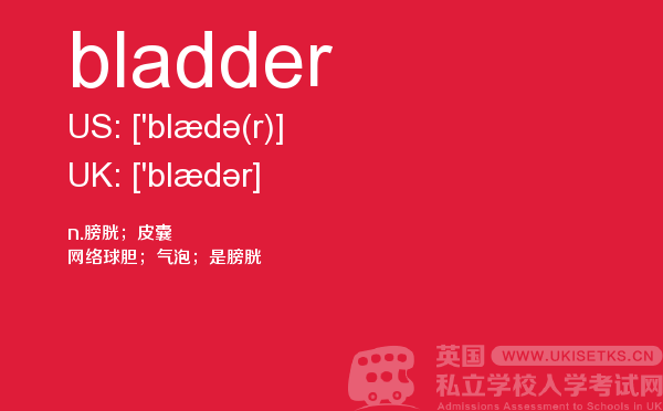 【bladder】 - UKiset备考词汇