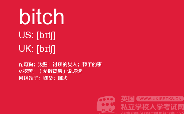 【bitch】 - UKiset备考词汇