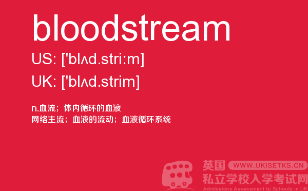 【bloodstream】 - UKiset备考词汇