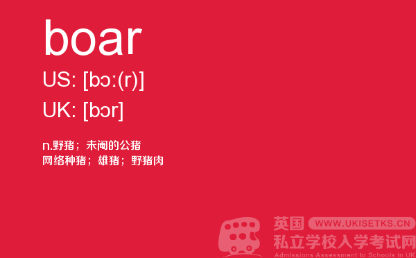 【boar】 - UKiset备考词汇