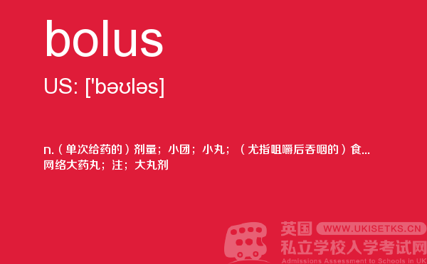 【bolus】 - UKiset备考词汇