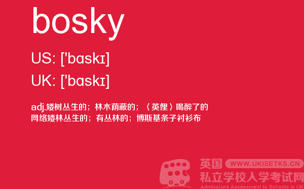 【bosky】 - UKiset备考词汇