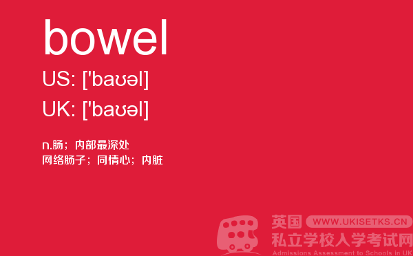 【bowel】 - UKiset备考词汇