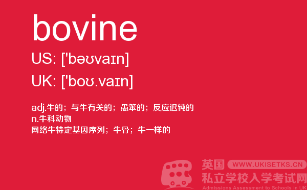 【bovine】 - UKiset备考词汇
