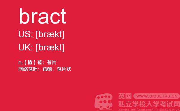 【bract】 - UKiset备考词汇
