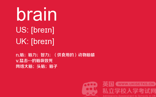 【brain】 - UKiset备考词汇