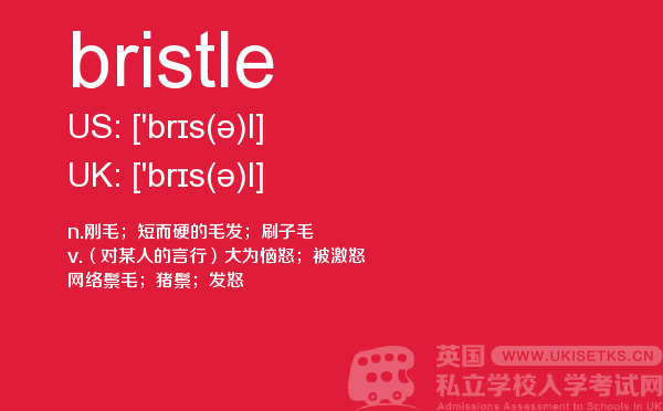 【bristle】 - UKiset备考词汇