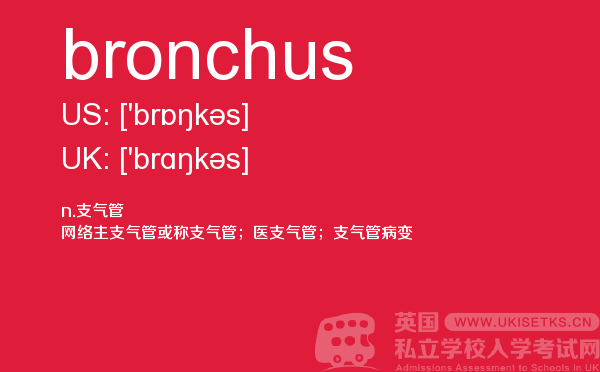 【bronchus】 - UKiset备考词汇