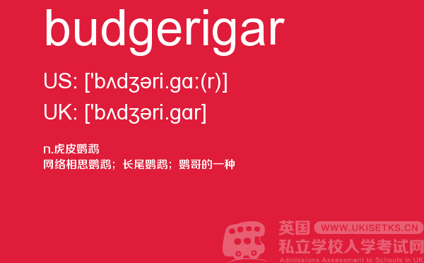 【budgerigar】 - UKiset备考词汇
