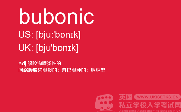 【bubonic】 - UKiset备考词汇
