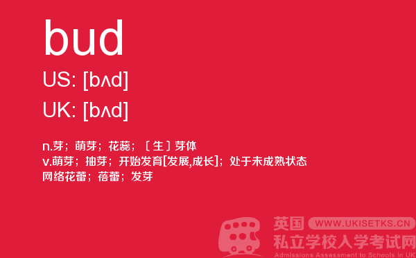 【bud】 - UKiset备考词汇