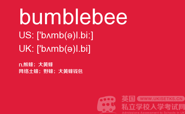 【bumblebee】 - UKiset备考词汇