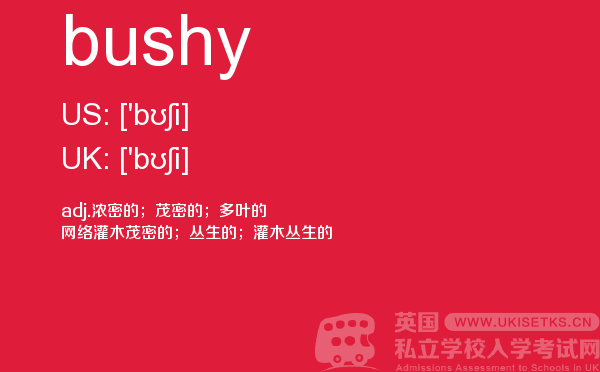 【bushy】 - UKiset备考词汇