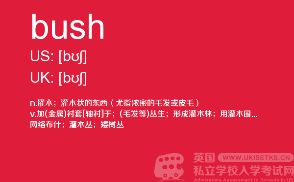【bush】 - UKiset备考词汇