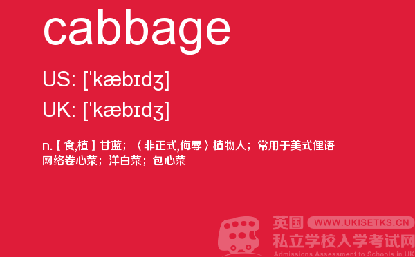 【cabbage】 - UKiset备考词汇