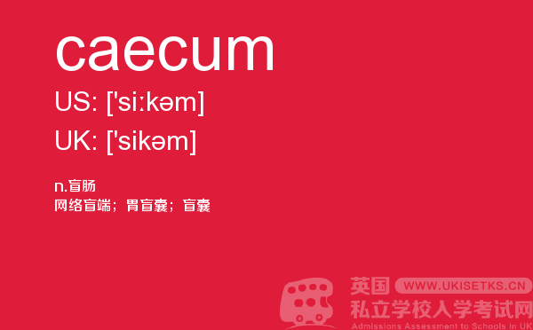 【caecum】 - UKiset备考词汇