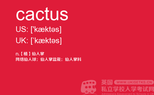 【cactus】 - UKiset备考词汇
