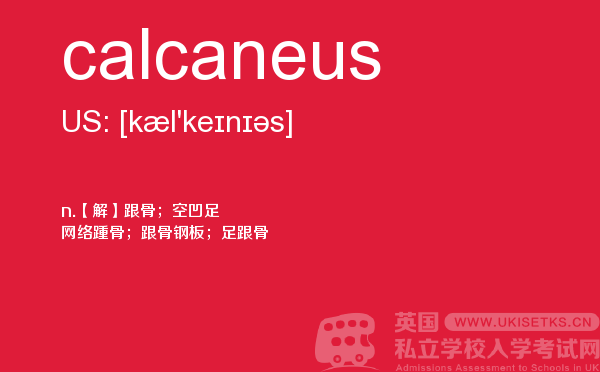 【calcaneus】 - UKiset备考词汇