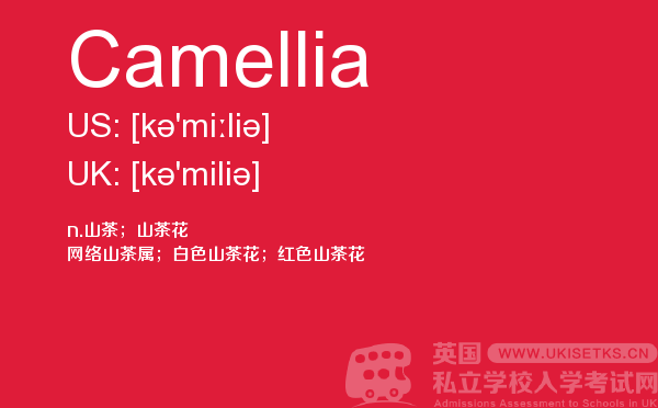 【Camellia】 - UKiset备考词汇