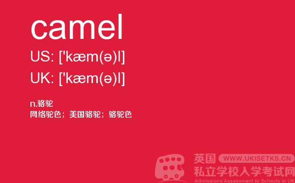 【camel】 - UKiset备考词汇