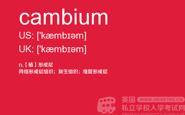 【cambium】 - UKiset备考词汇