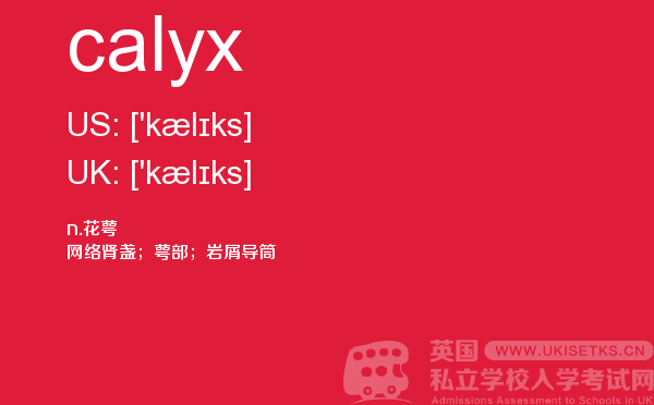 【calyx】 - UKiset备考词汇