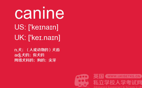 【canine】 - UKiset备考词汇