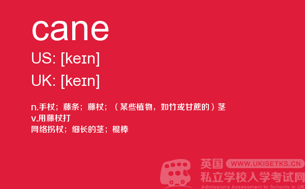 【cane】 - UKiset备考词汇