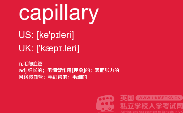 【capillary】 - UKiset备考词汇