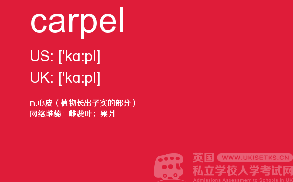 【carpel】 - UKiset备考词汇