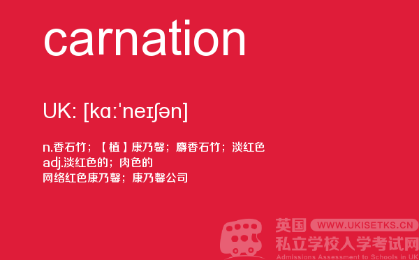 【carnation】 - UKiset备考词汇