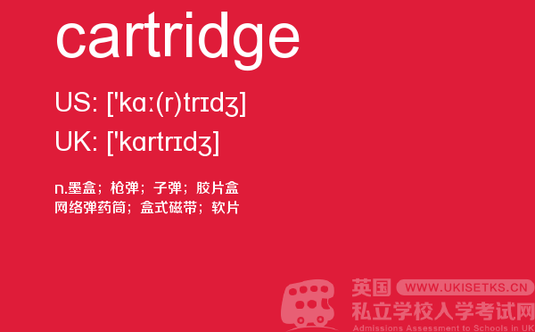 【cartridge】 - UKiset备考词汇