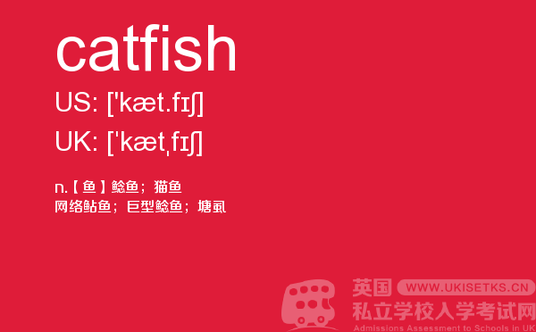 【catfish】 - UKiset备考词汇