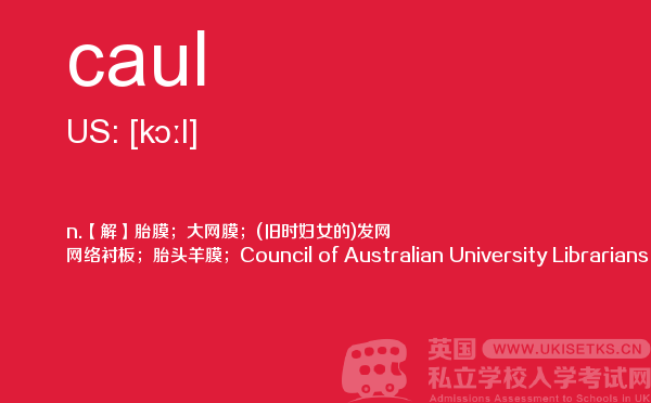 【caul】 - UKiset备考词汇