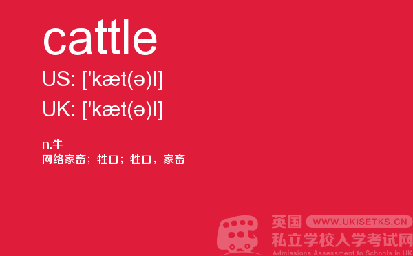 【cattle】 - UKiset备考词汇
