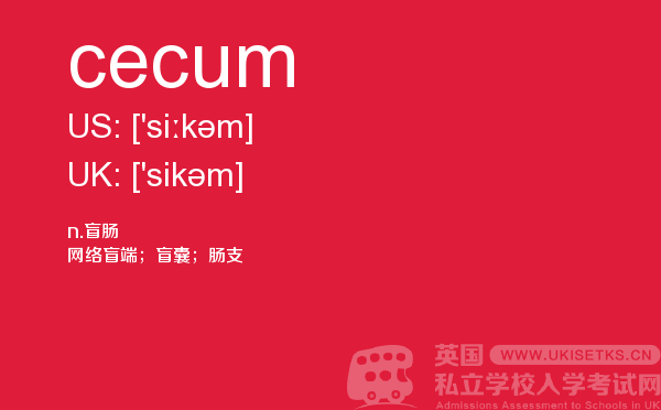 【cecum】 - UKiset备考词汇