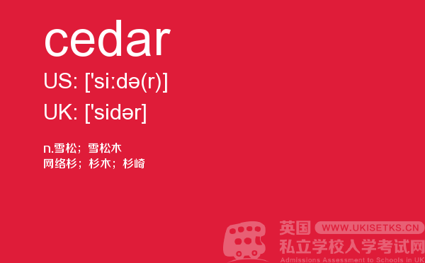 【cedar】 - UKiset备考词汇