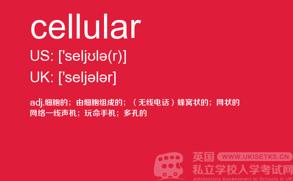 【cellular】 - UKiset备考词汇
